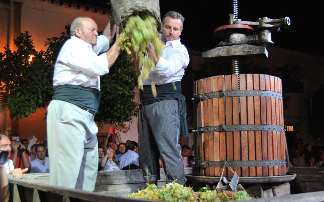 El Centro de Salud de Montilla será Capataz de Honor de la Fiesta de la Vendimia